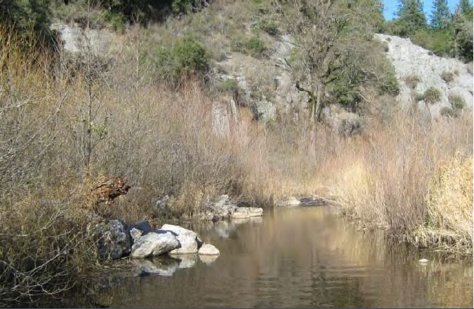 Figure 10- Cedar Creek (December 2011), Main Channel Bank-Toe