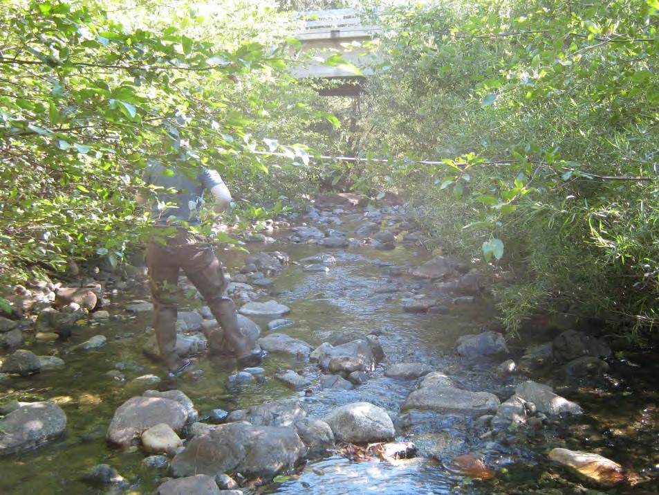 Figure 13 Rush Creek High Vegetation Density