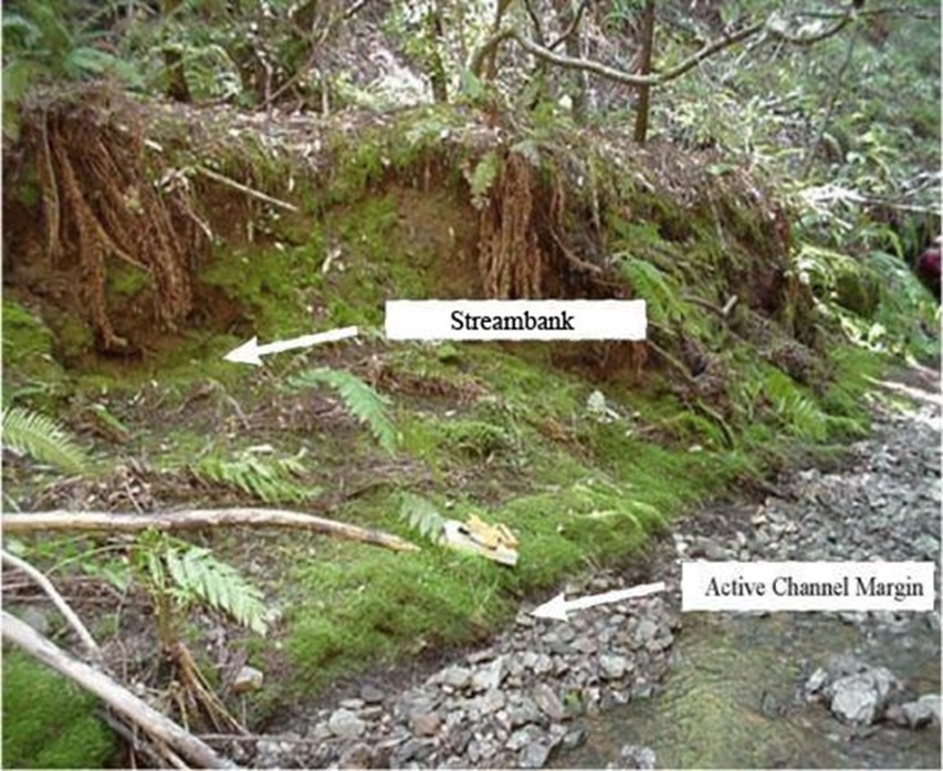 Figure 24b Active Channel Delineation adapted from CDFW 2004