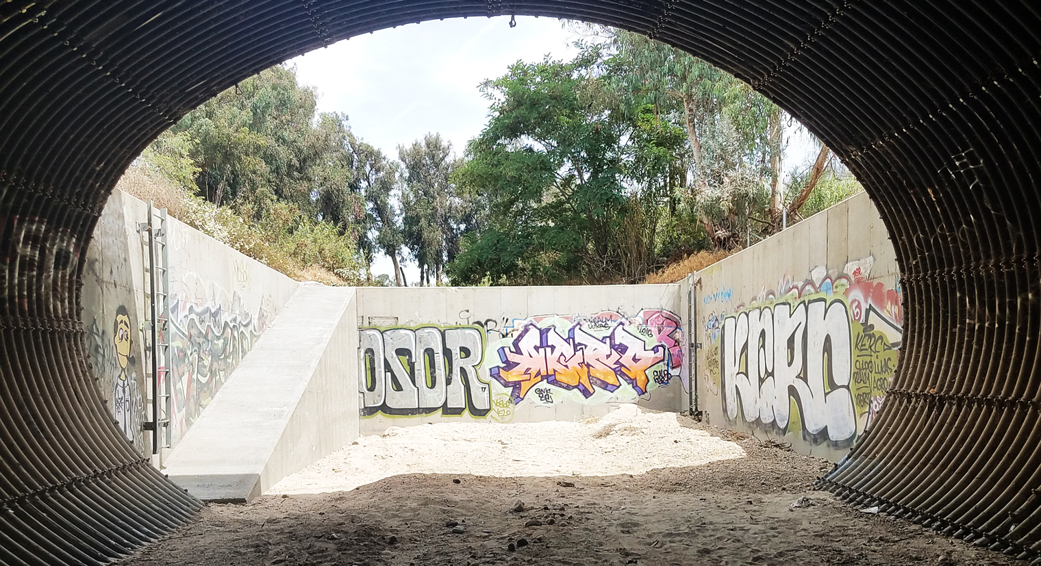 Photo depicting a broad view of a wildlife passage structure, showing a tunnel and ramp.