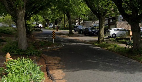 Image of chicanes, a series of narrowing elements that alternate from one side of the street to the other, forming an S-shape, curvilinear roadway alignment